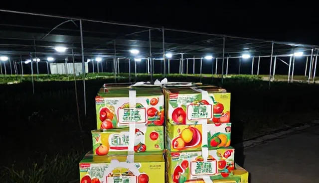 特色水果礼盒如何选择?适用情况有哪些?